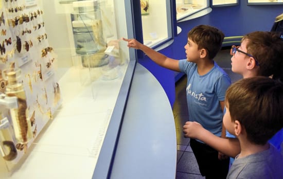 Lugar de criança é no museu!