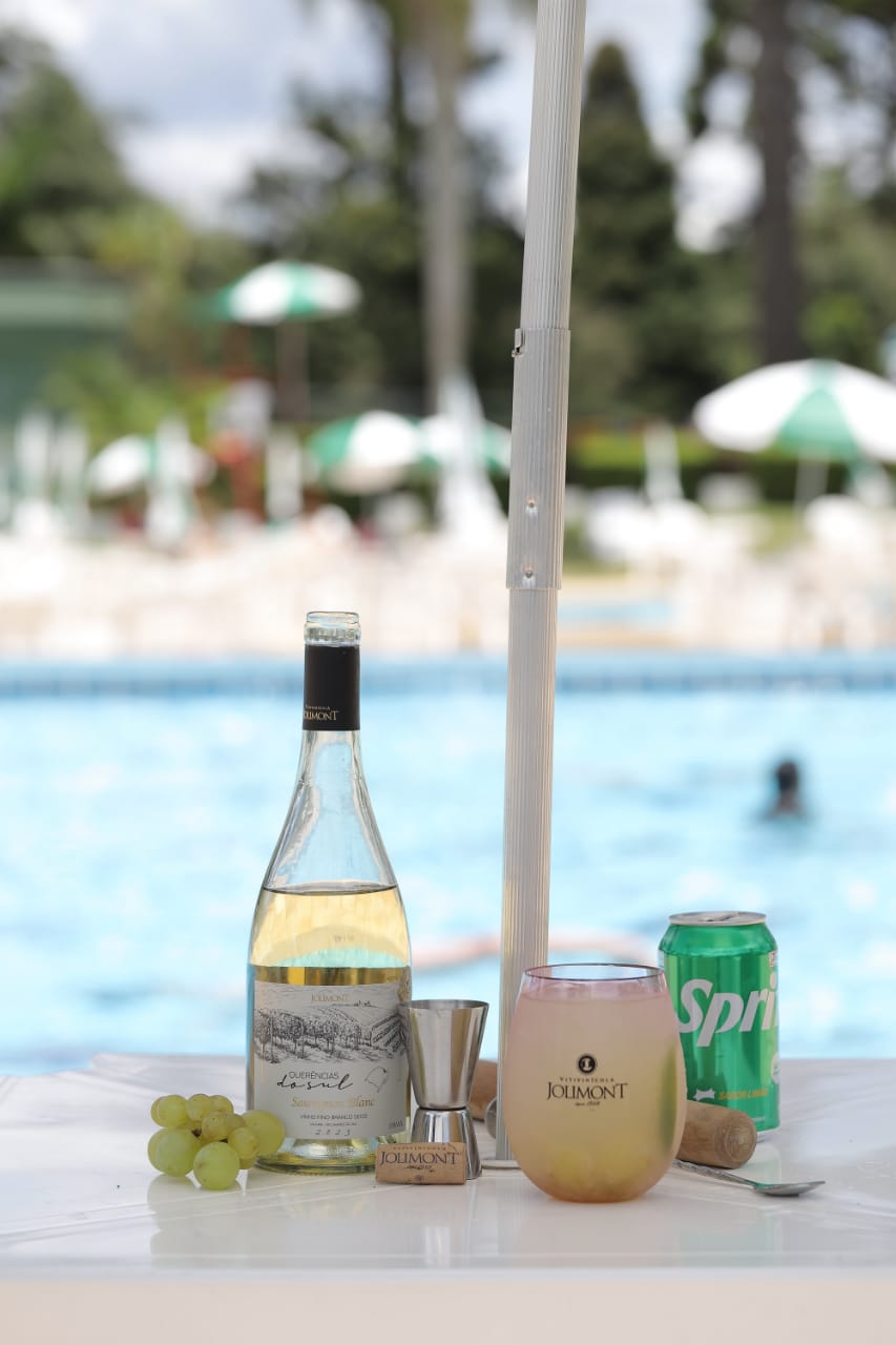 Receitas fáceis e refrescantes com vinhos e espumantes para o Carnaval